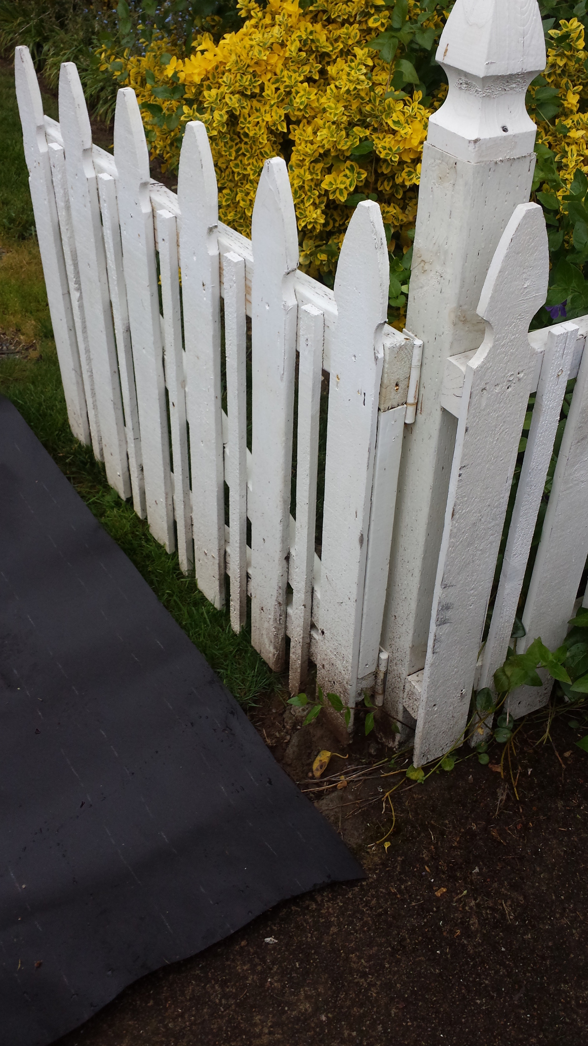 Fence1